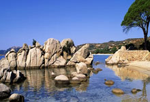 钢铁意志，胜利之魂：斯洛伐克队备战史诗对决