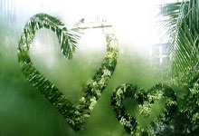 冰岛童话照进现实?瑞典队“黑马”姿态,如何书写夺冠神话!