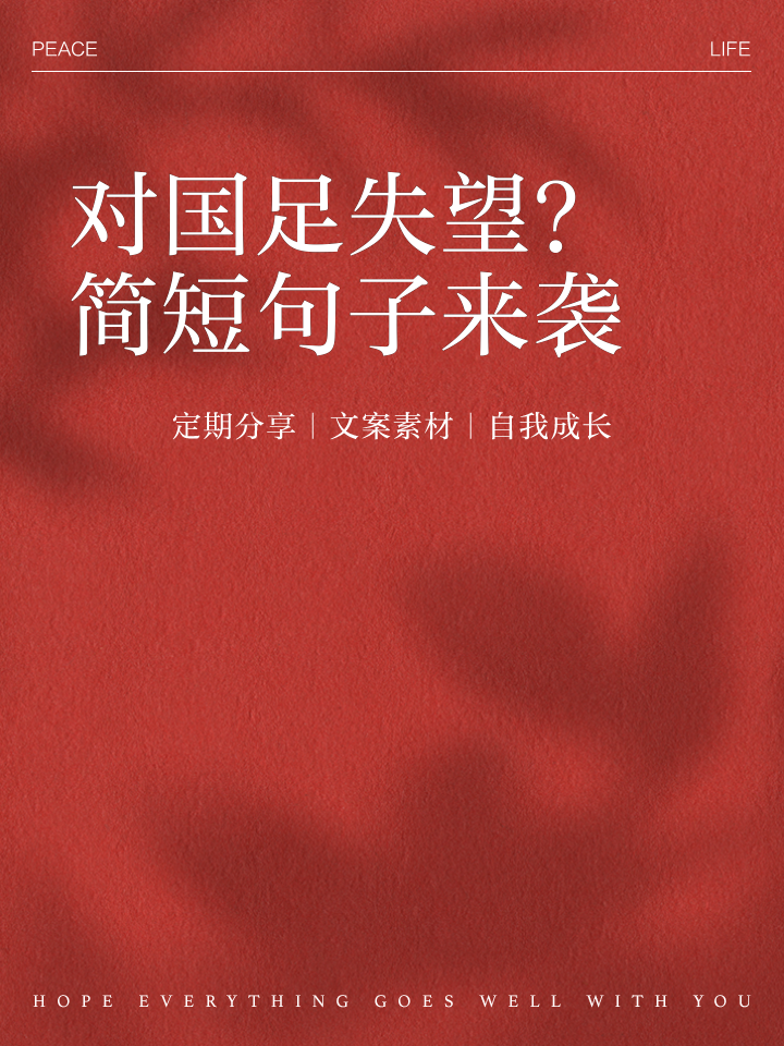 开云体育平台官网入口-卡莱尔：我们最终没能完成目标，我非常失望但也无比骄傲的简单介绍
